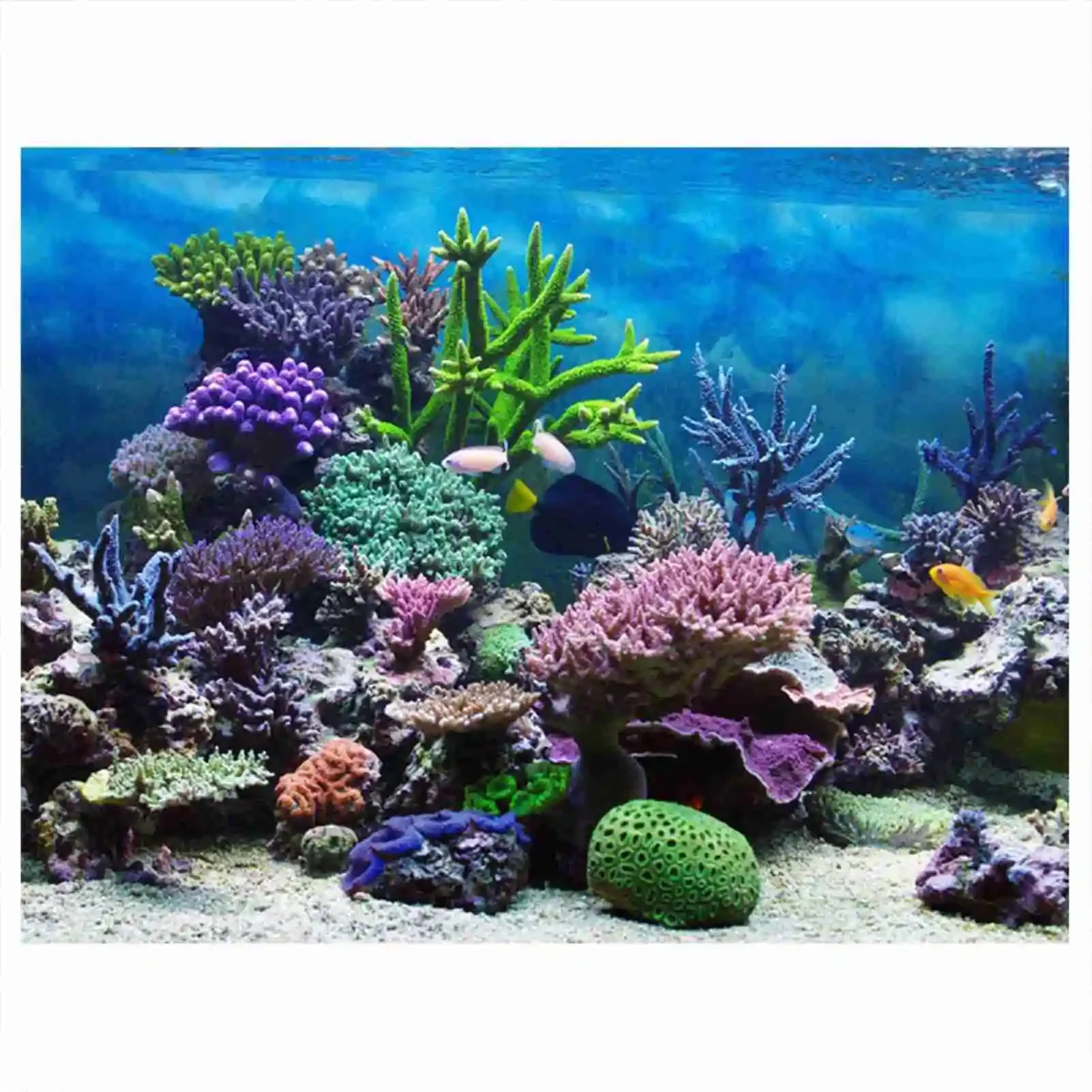 Aquarium Fish Background - 3D Aquarium Landscape Poster Rainforest Wallpaper