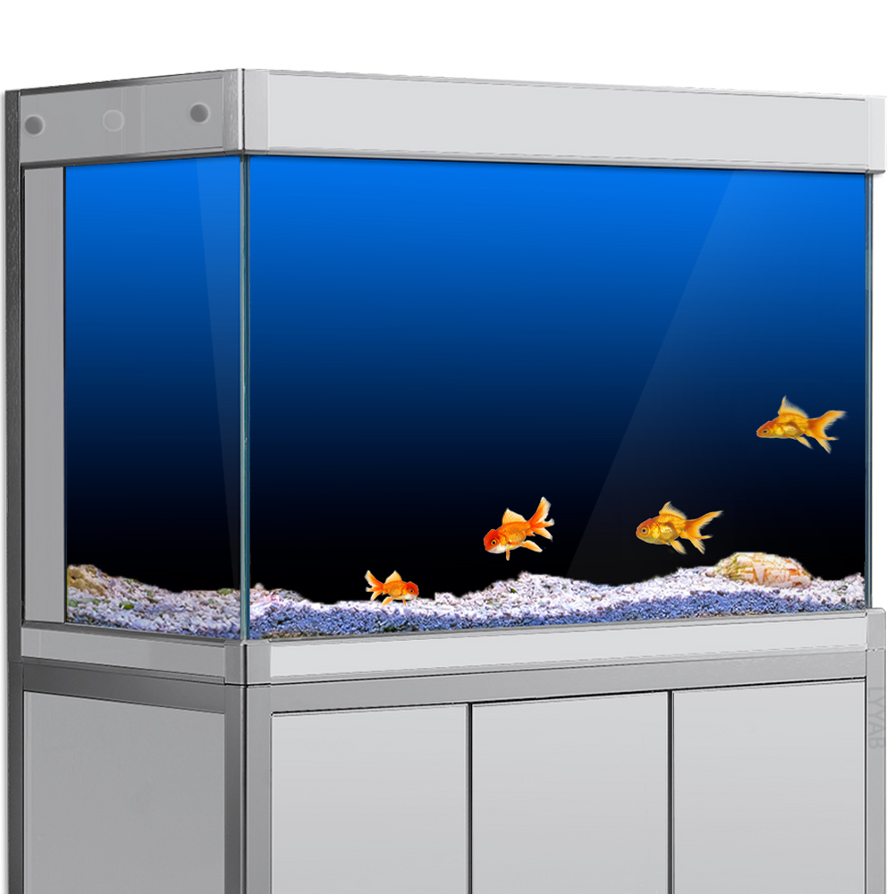 Aquarium Fish Background - Fish Tank Background Sticker Black Green