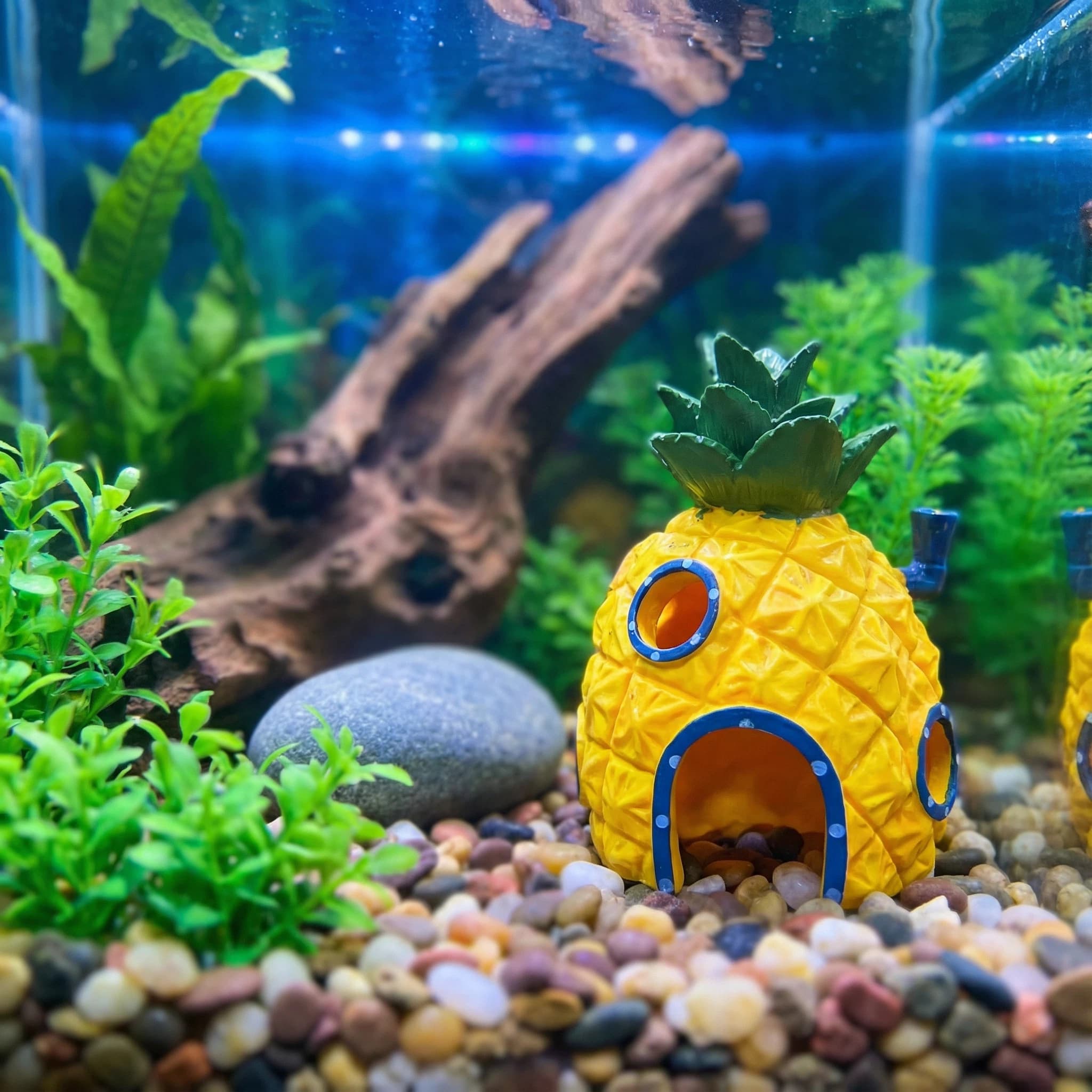 Aquarium Fish Hiding Places - Pineapple House Aquarium Decor， Eco-Friendly Resin