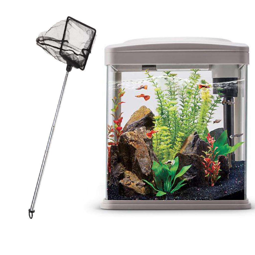 Aquarium Fishing Catch Fish Ne - Fish Net Handle recension och pris