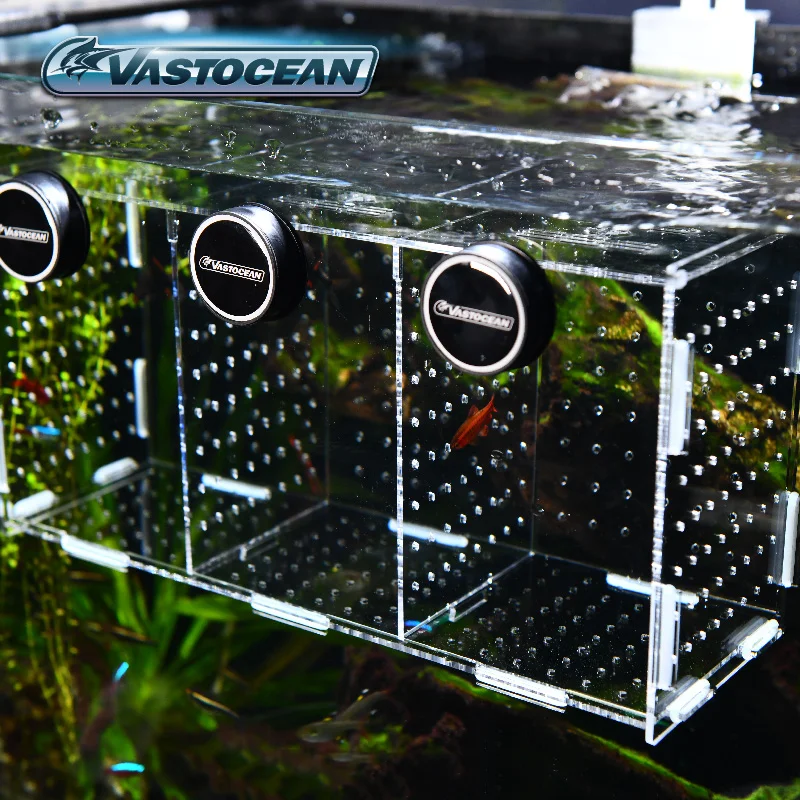 VASTOCEAN Fish Tank Magnetic C - Aquarium Fish Real recension och pris