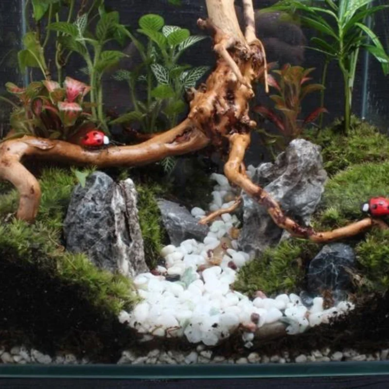 Natural Tree Trunk Driftwood A - Aquarium Fish Hiding Places recension och pris