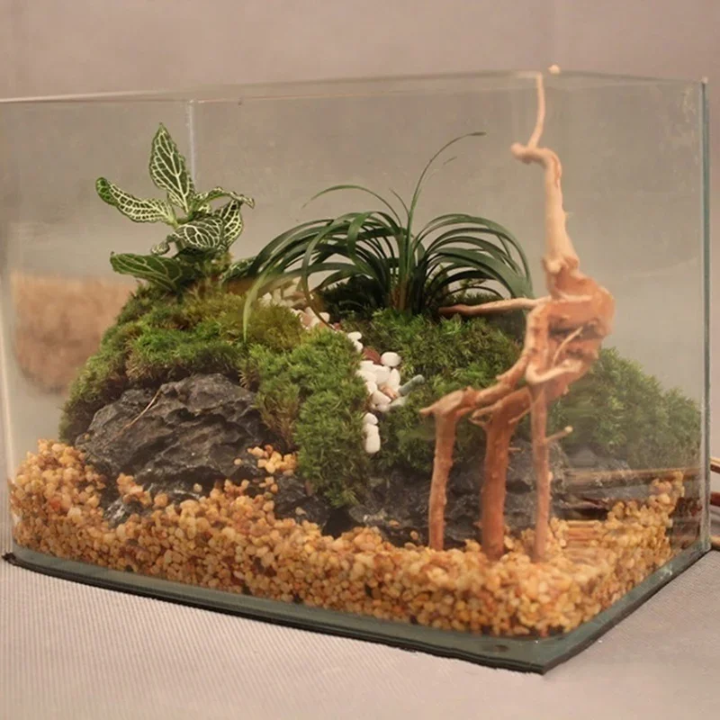 Natural Tree Trunk Driftwood A - Aquarium Fish Hiding Places recension och pris