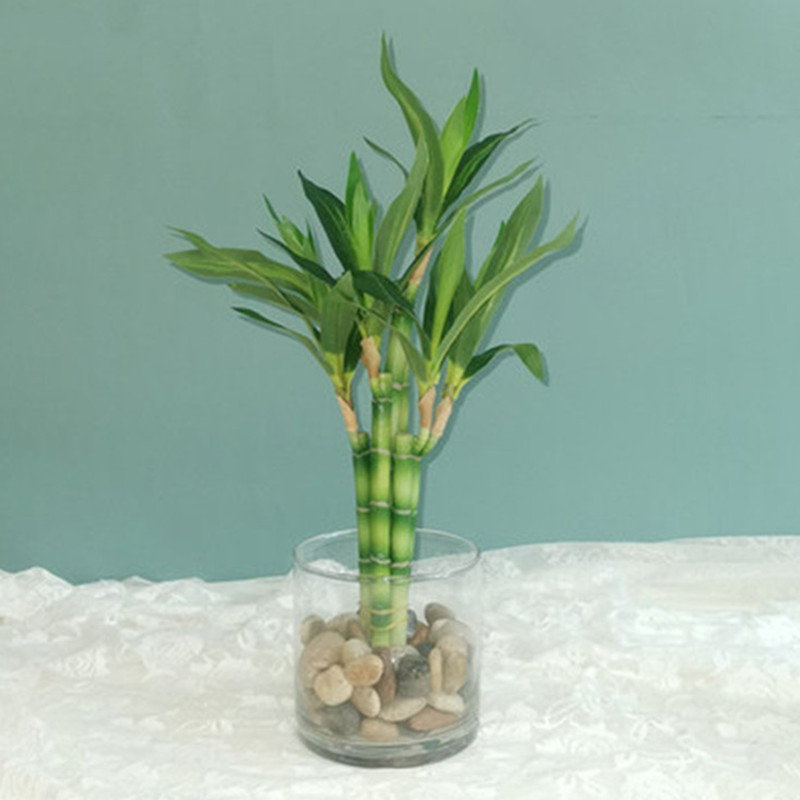 New 40cm Artificial Lucky Bamb - Aquarium Fish Saltwater recension och pris