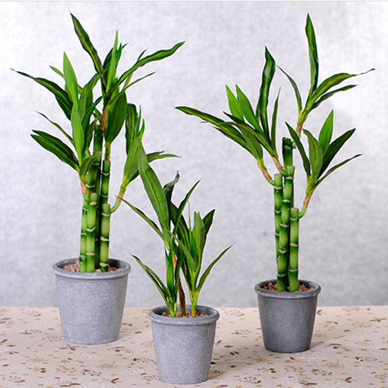 New 40cm Artificial Lucky Bamb - Aquarium Fish Saltwater recension och pris