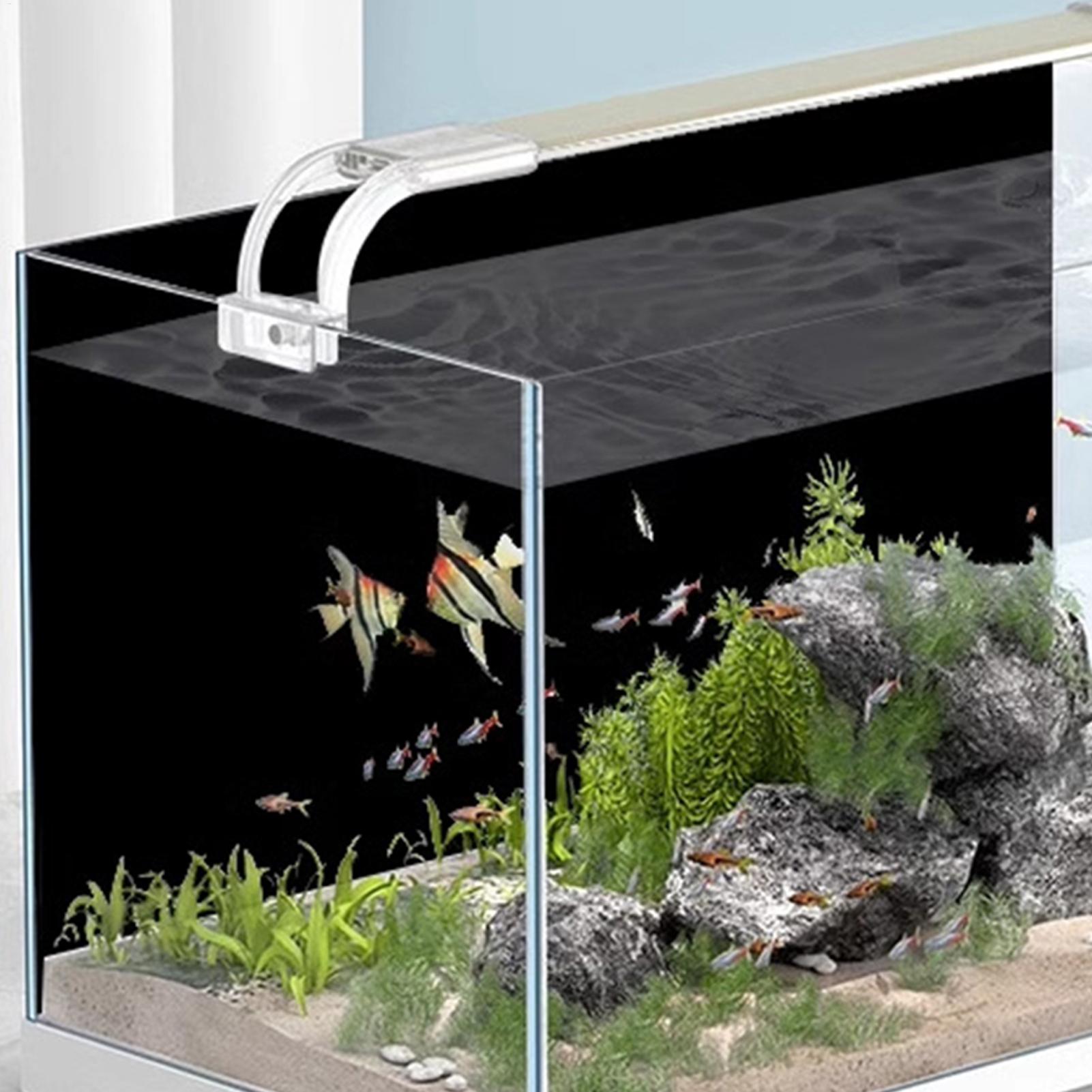 Black Aquarium Background Stat - Aquarium Fish Background recension och pris