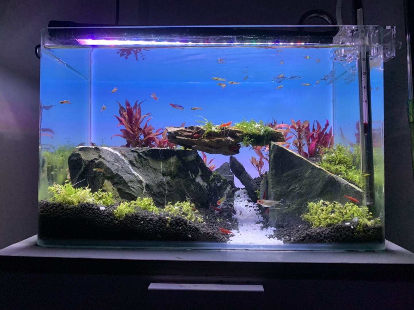 RGB Color Changing Aquarium Li - Aquarium Fish Background recension och pris