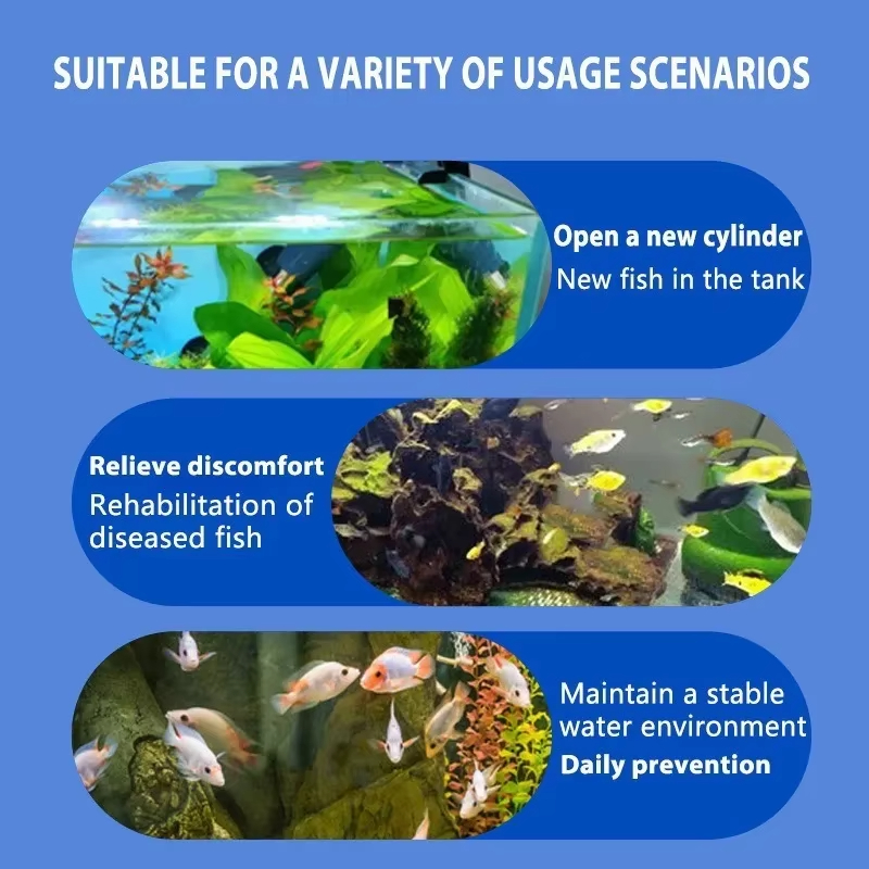 SIKEZHAN Fish Disease Treatmen - Aquarium Fish Saltwater recension och pris