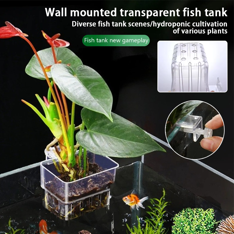 Aquarium Hanging Planter Cups  - Aquarium Fish Background recension och pris