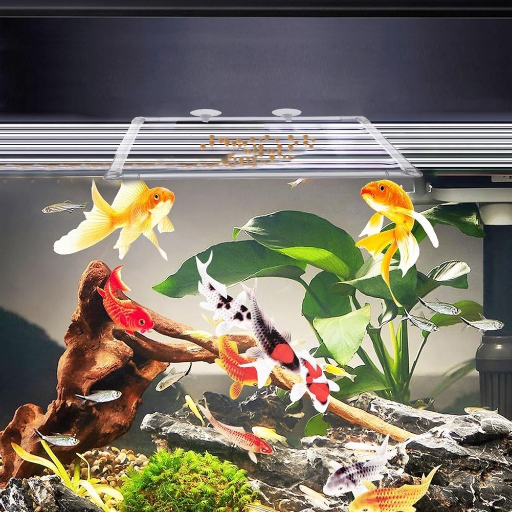 Aquarium Floating Plant Corral - Aquarium Fish Zone recension och pris