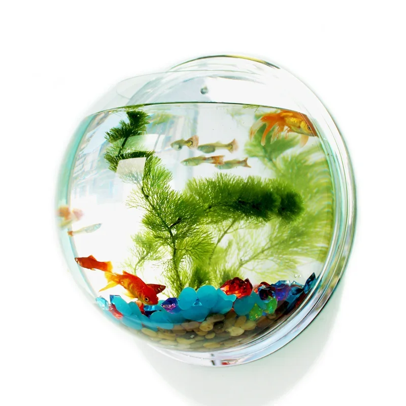 Pinsjar Acrylic Fish Bowl Wall - Aquarium Fish Background recension och pris