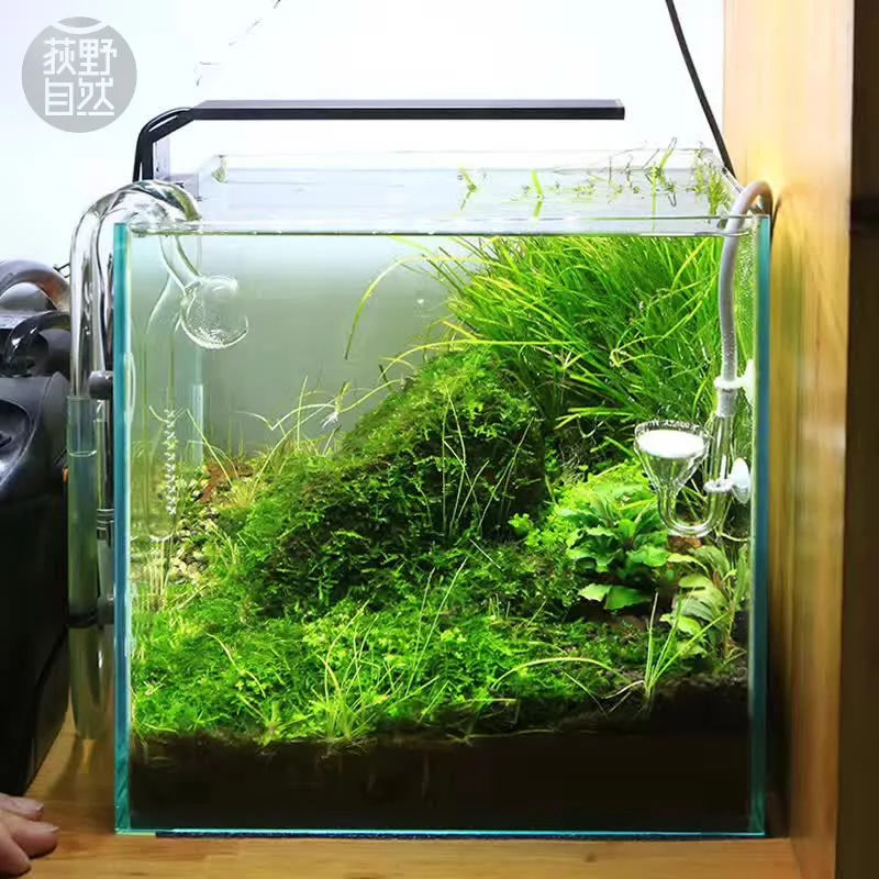 Chihiros C Series ADA Style Pl - Aquarium Fish Background recension och pris