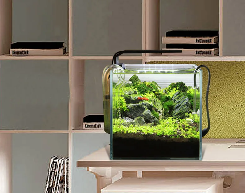 Chihiros C Series ADA Style Pl - Aquarium Fish Background recension och pris