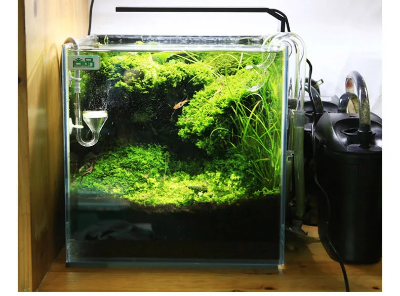 Chihiros C Series ADA Style Pl - Aquarium Fish Background recension och pris