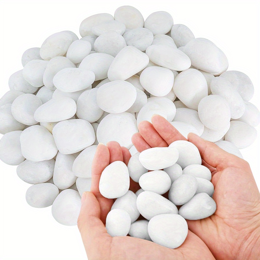 200/400g White High Polished N - Aquarium Fish Saltwater recension och pris