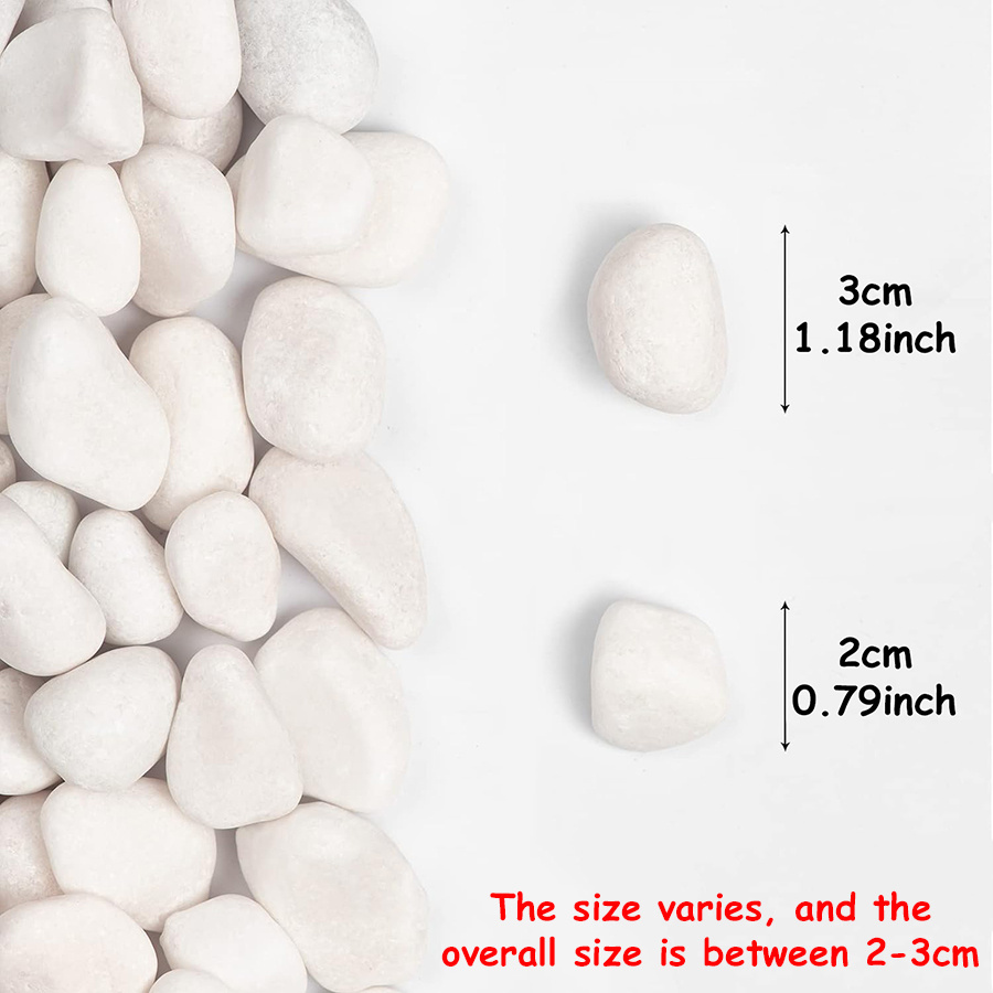 200/400g White High Polished N - Aquarium Fish Saltwater recension och pris