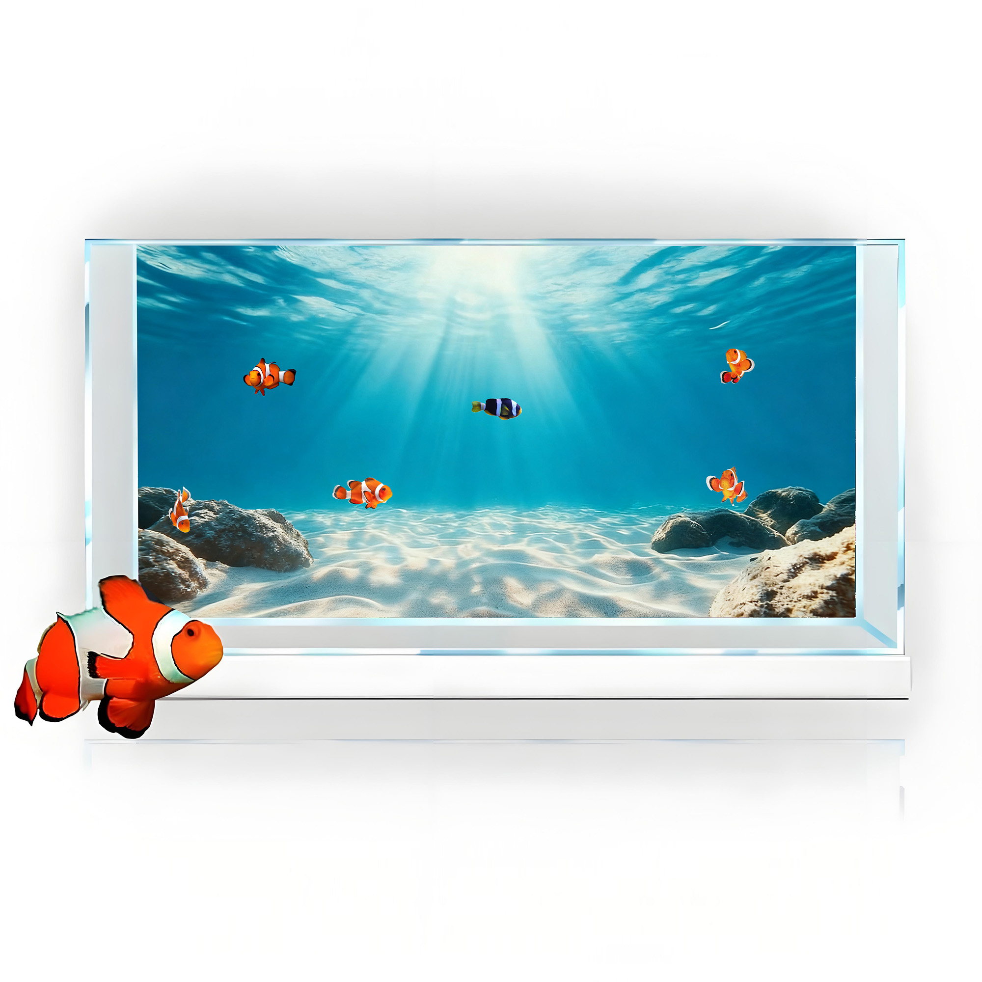 Blue Sea Clear Sand, Fish Tank - Aquarium Fish Background recension och pris