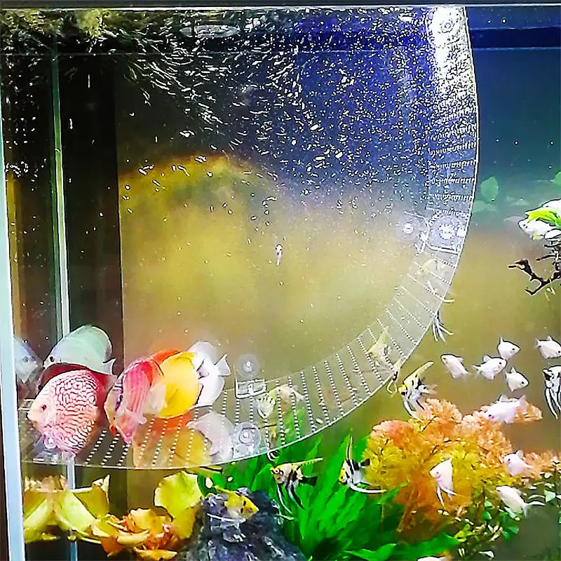 Bendable Bulkhead Fitting Fish - Aquarium Fish Background recension och pris