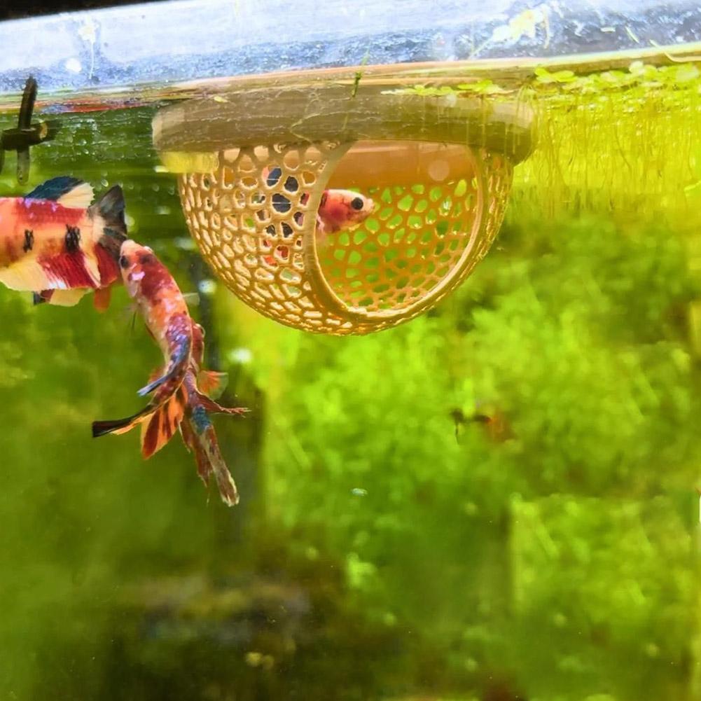 Aquarium Floating Cave Fish Sh - Aquarium Fish Hiding Places recension och pris