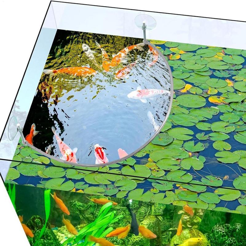 Floating Plant Corral Fish Fee - Aquarium Fish Real recension och pris