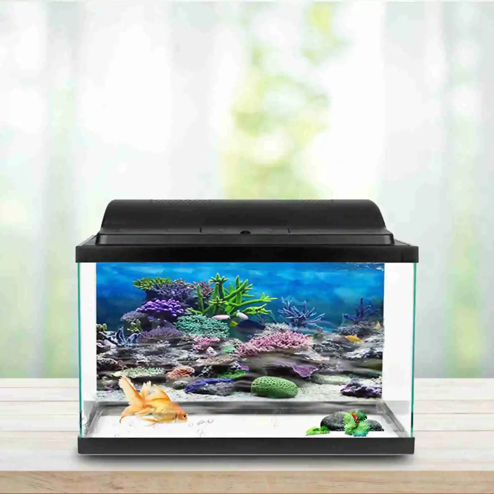 3D Aquarium Landscape Poster R - Aquarium Fish Background recension och pris
