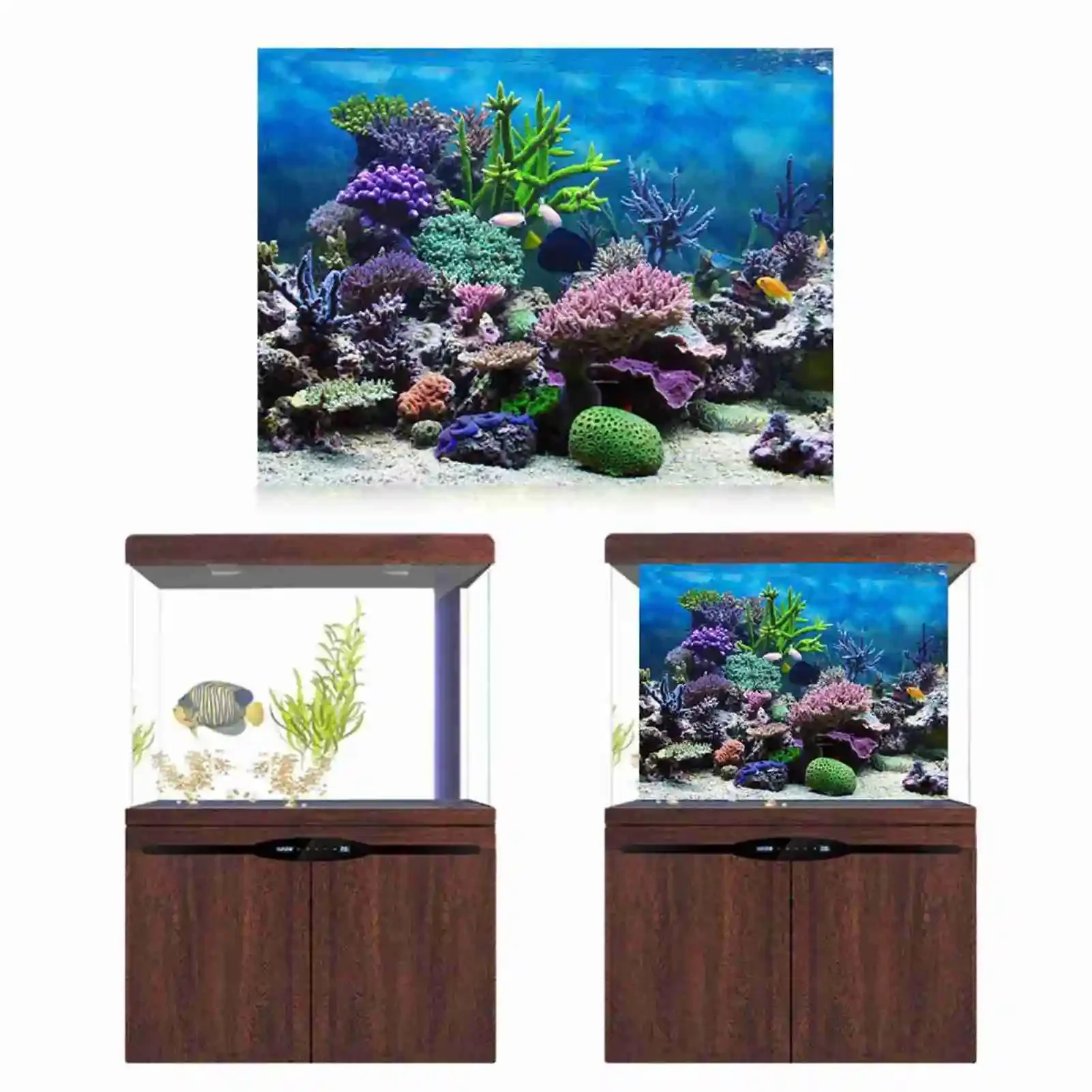 3D Aquarium Landscape Poster R - Aquarium Fish Background recension och pris