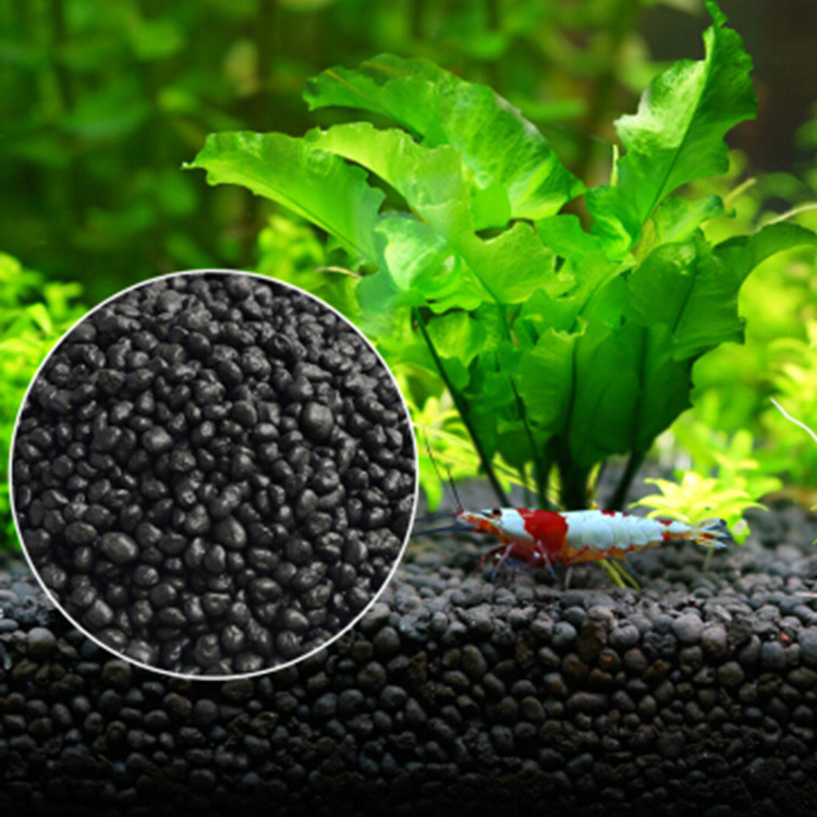 Aquarium Plant Seeds Soil Fish - Aquarium Fish Background recension och pris