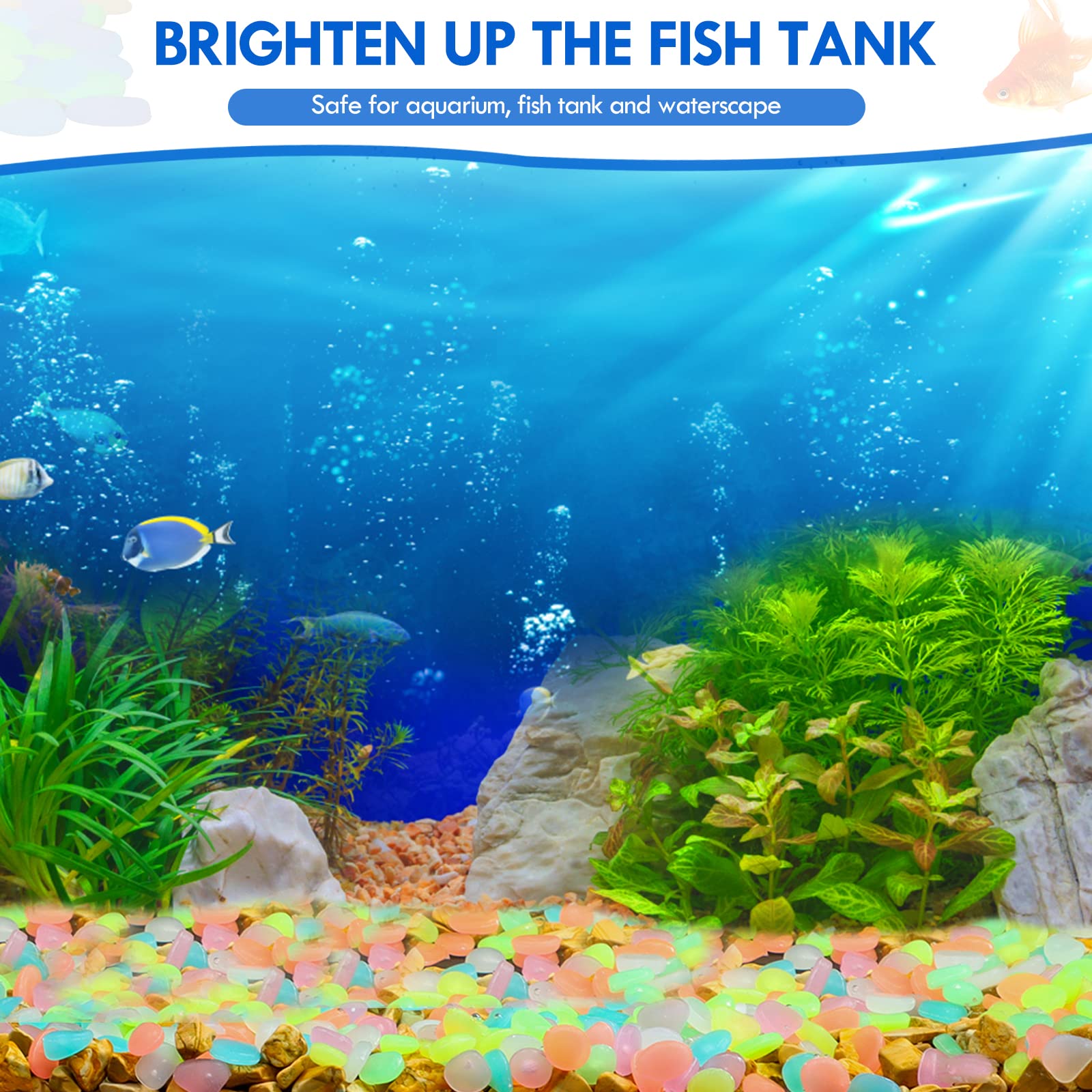 100Pcs Glow in the Dark Garden - Aquarium Fishing recension och pris
