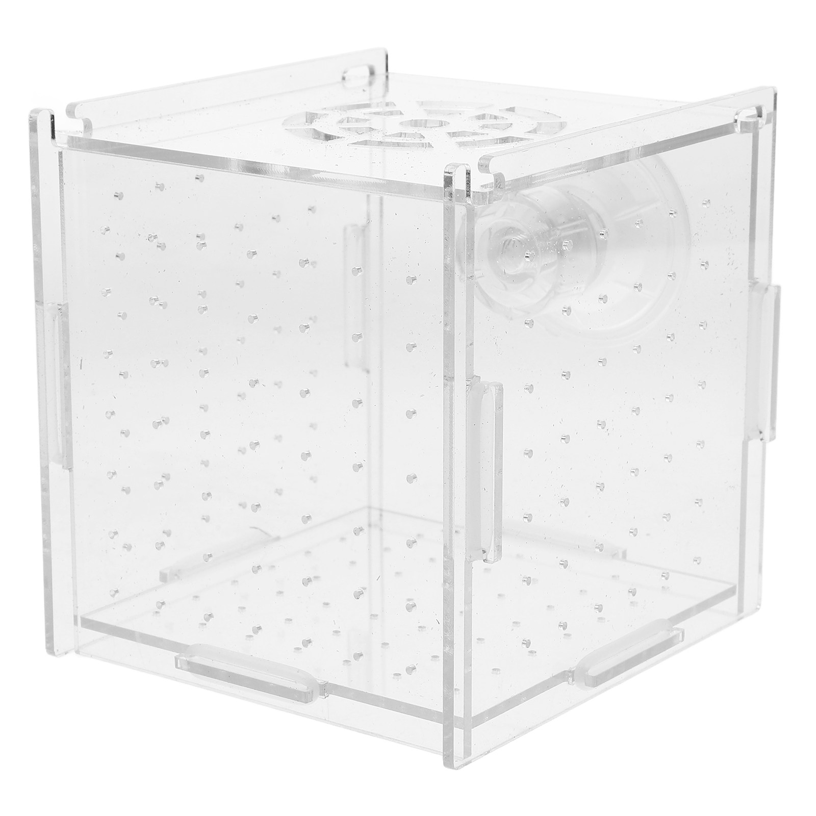 Fish Breeding Isolation Box Cl - Fish Toy In Aquarium recension och pris