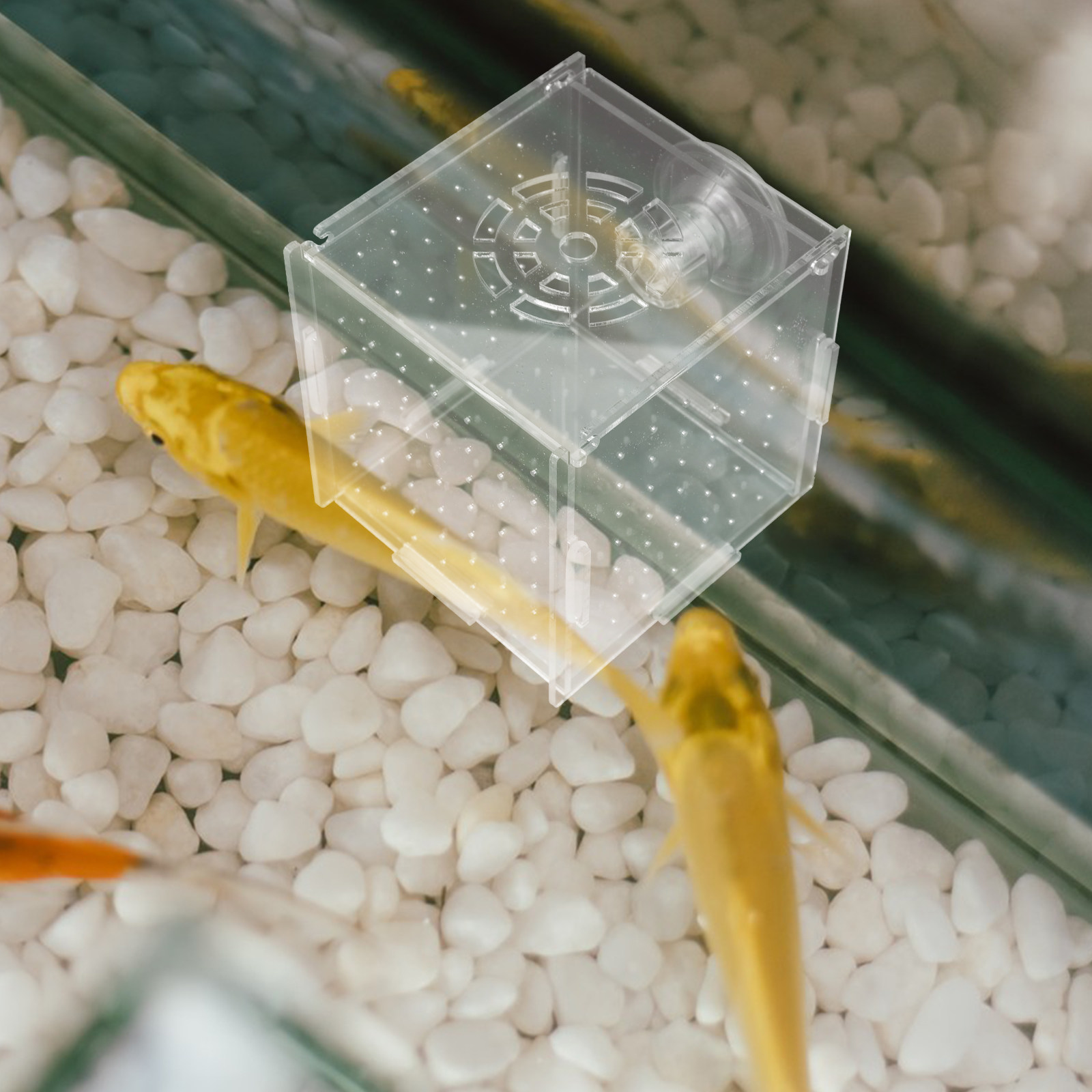 Fish Breeding Isolation Box Cl - Fish Toy In Aquarium recension och pris