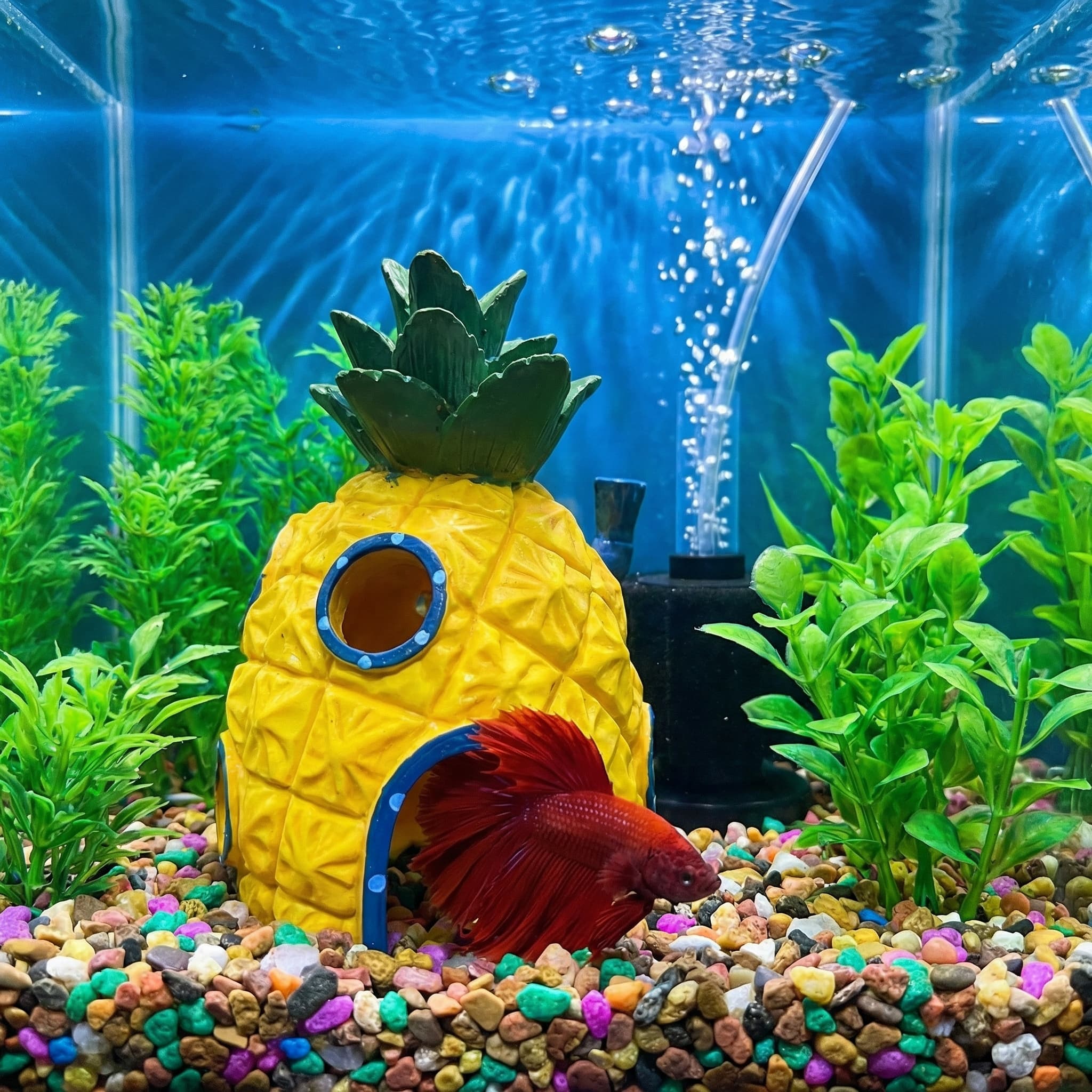Pineapple House Aquarium Decor - Aquarium Fish Hiding Places recension och pris