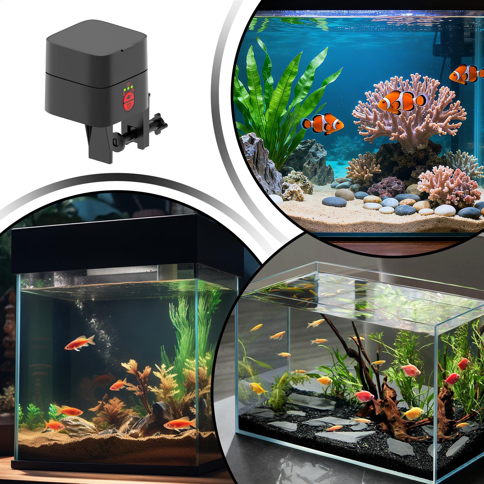 Auto Fish Feeder For Aquarium  - Fish Toy In Aquarium recension och pris