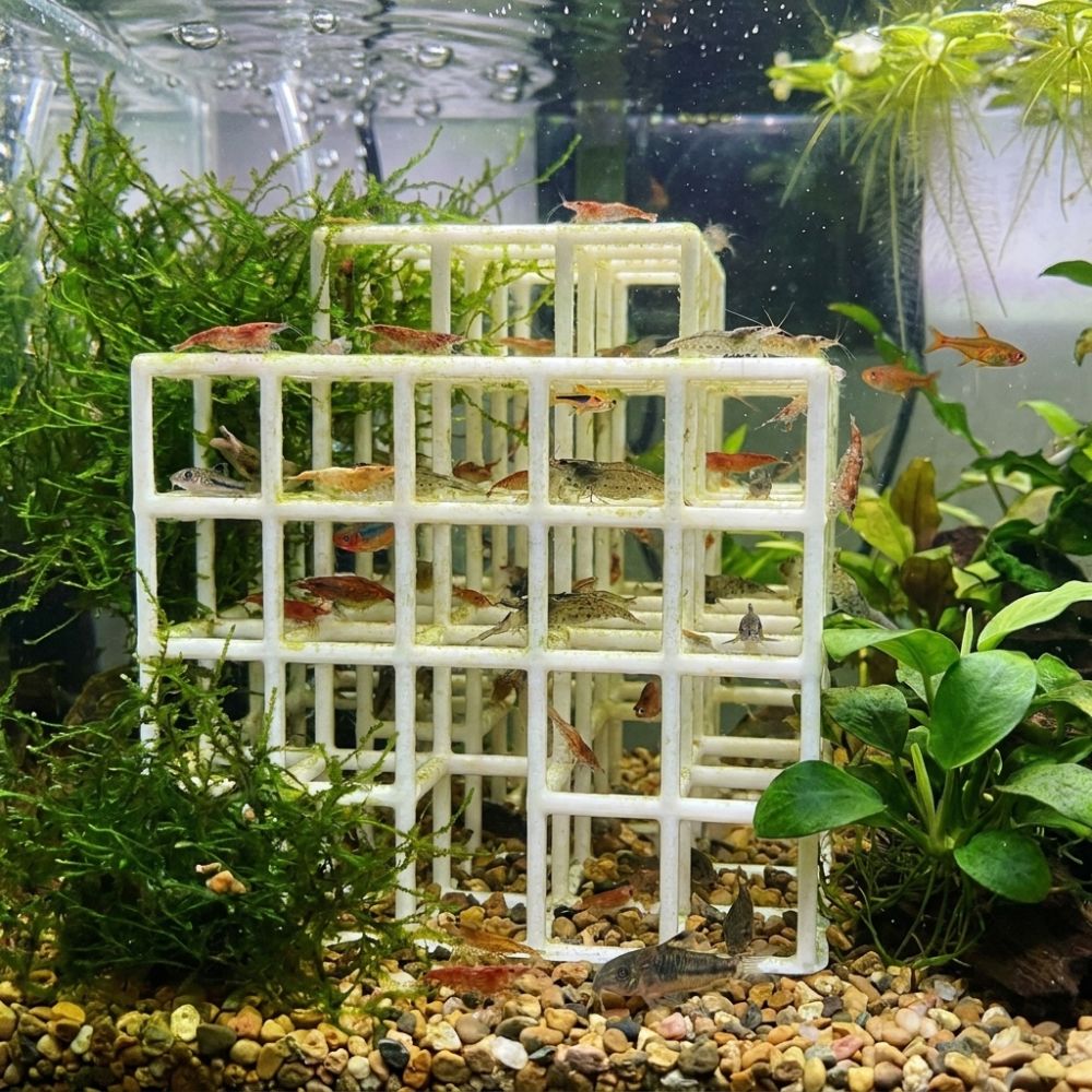 3D Printed Fish Shrimp Hideout - Aquarium Fish Hiding Places recension och pris